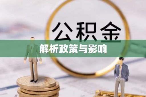 马尾解析政策与影响