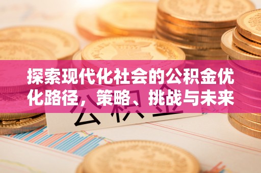 马尾探索现代化社会的公积金优化路径，策略、挑战与未来展望