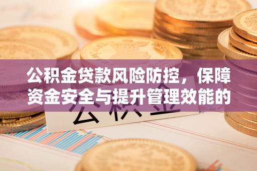 马尾公积金贷款风险防控，保障资金安全与提升管理效能的多维度探索