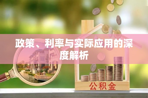 马尾政策、利率与实际应用的深度解析
