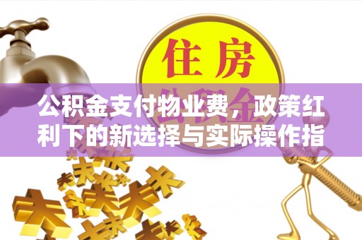 马尾公积金支付物业费，政策红利下的新选择与实际操作指南