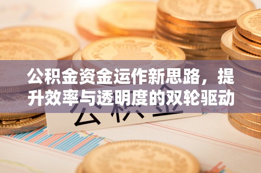 马尾公积金资金运作新思路，提升效率与透明度的双轮驱动