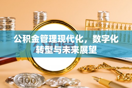 马尾公积金管理现代化，数字化转型与未来展望