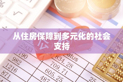 马尾从住房保障到多元化的社会支持