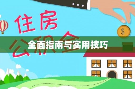 马尾全面指南与实用技巧