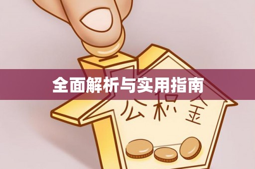 马尾全面解析与实用指南